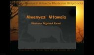 Heshima ya Kimba Chiva im Kennel Mwenyezi Mtawala (Belgien)